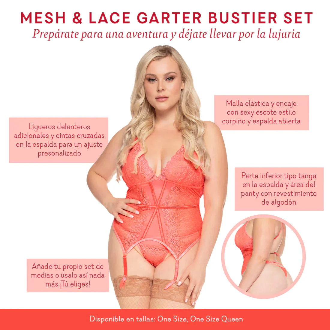 Mesh &amp; Lace Garter Bustier Set