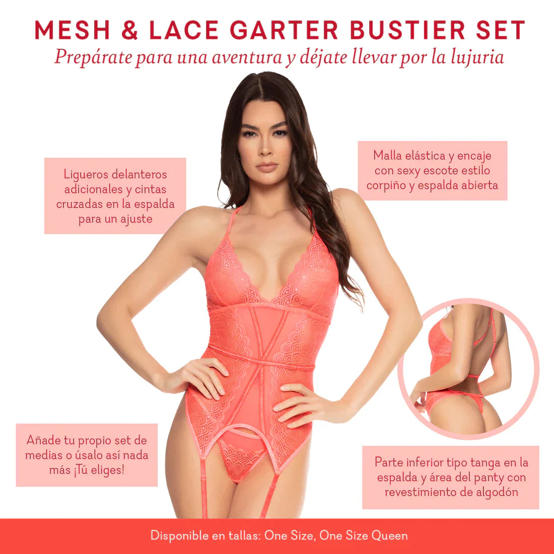 Mesh &amp; Lace Garter Bustier Set